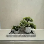 Prenzlauer Berg Prestige